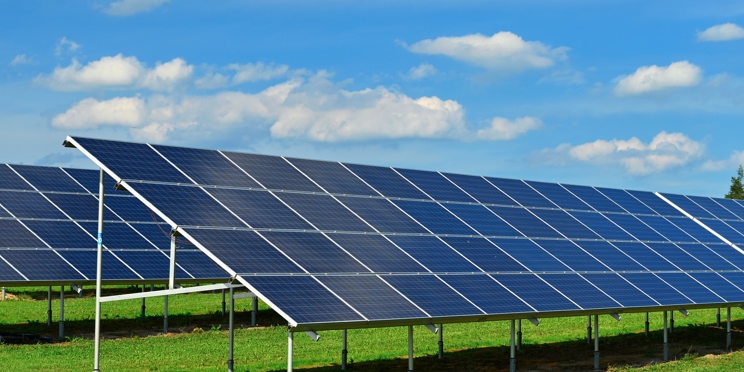 Licitación de módulos solares para el primer semestre de 2024: Tongwei, LONGi y GCL entre los de mejor desempeño